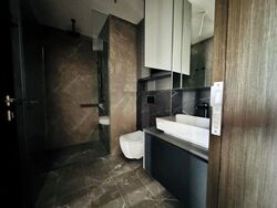 Irwell Hill Residences (D9), Apartment #564571801